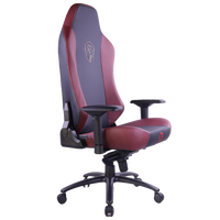 GAMEON x DC Licensed Gaming Chair With Adjustable 4D Armrest & Metal Base - House of The Dragons