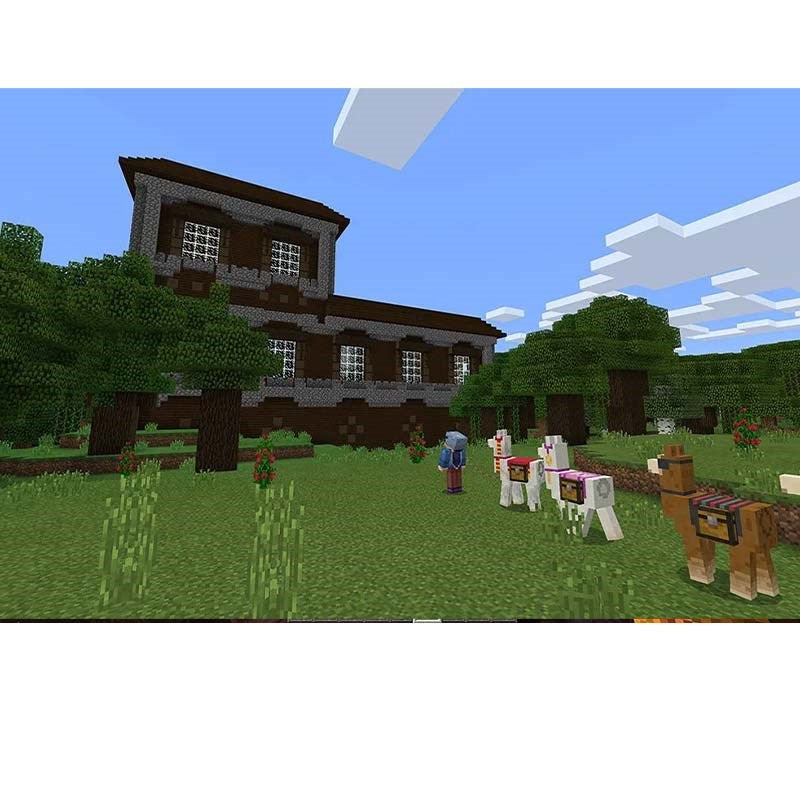 Microsoft Xbox Mini Craft Explorers Pack-Game add-on - Digital Code