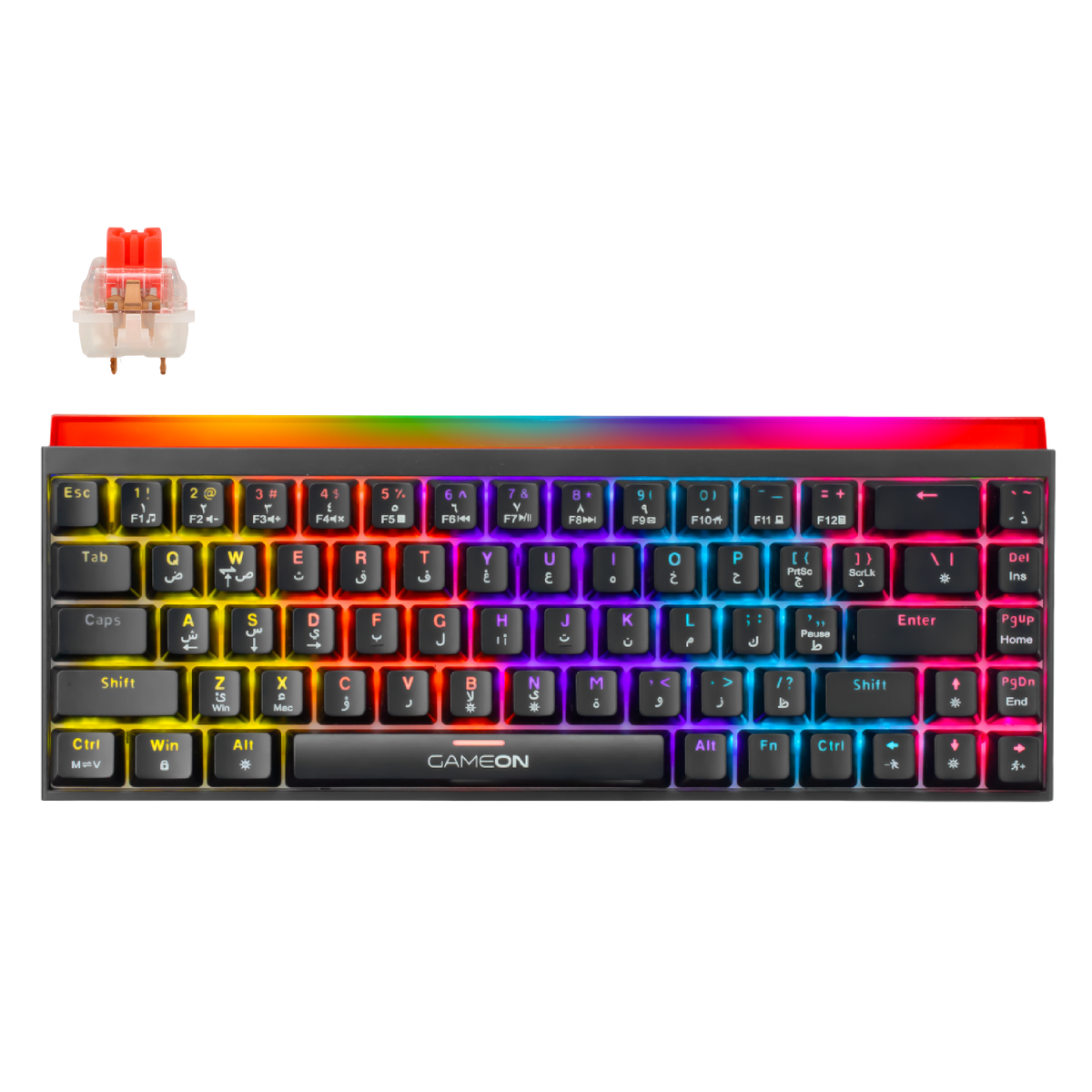 GAMEON PRIMEX GO-MK260-RS 60% RGB Mechanical Gaming Keyboard – Front view showing red switches and compact layout.